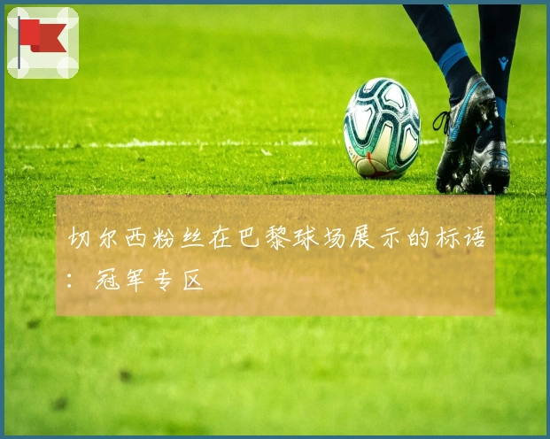 切尔西粉丝在巴黎球场展示的标语：冠军专区