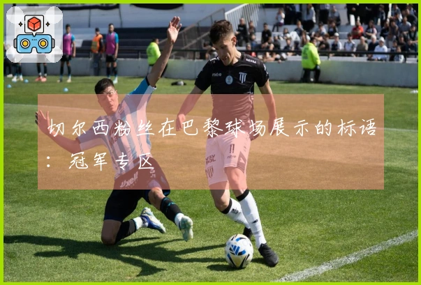 切尔西粉丝在巴黎球场展示的标语：冠军专区